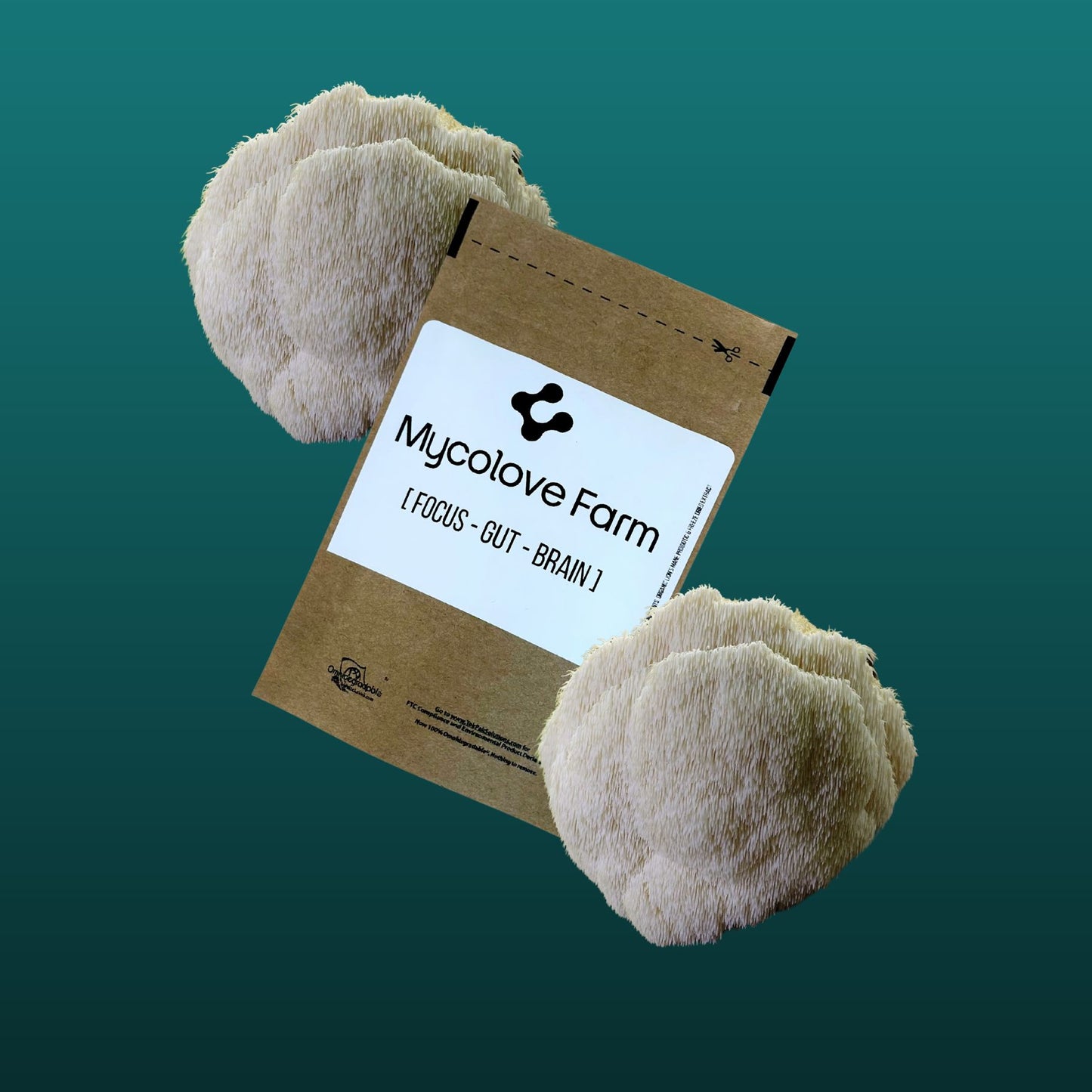 MycoLove Lion's Mane Probiotic Powder -- USDA Organic Functional Mushroom Powder