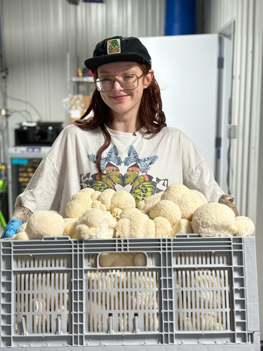 Long-term Benefits: Daily Use of Functional Mushrooms