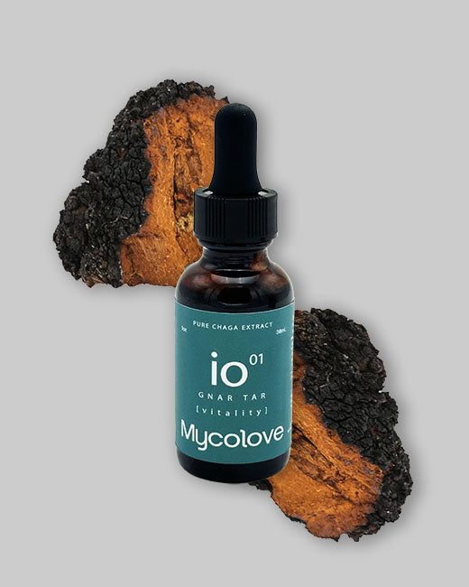 MycoLove Gnar Tar - Chaga (20:1 concentrated extract)
