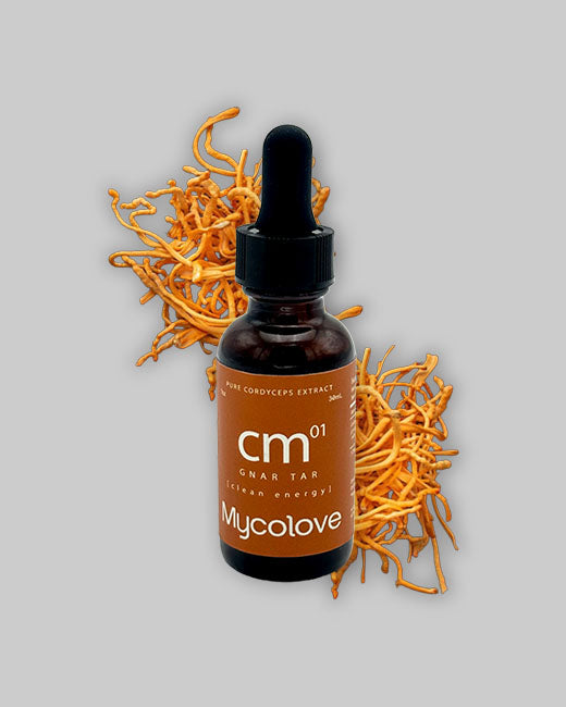 MycoLove Gnar Tar - Cordyceps (20:1 concentrated extract)