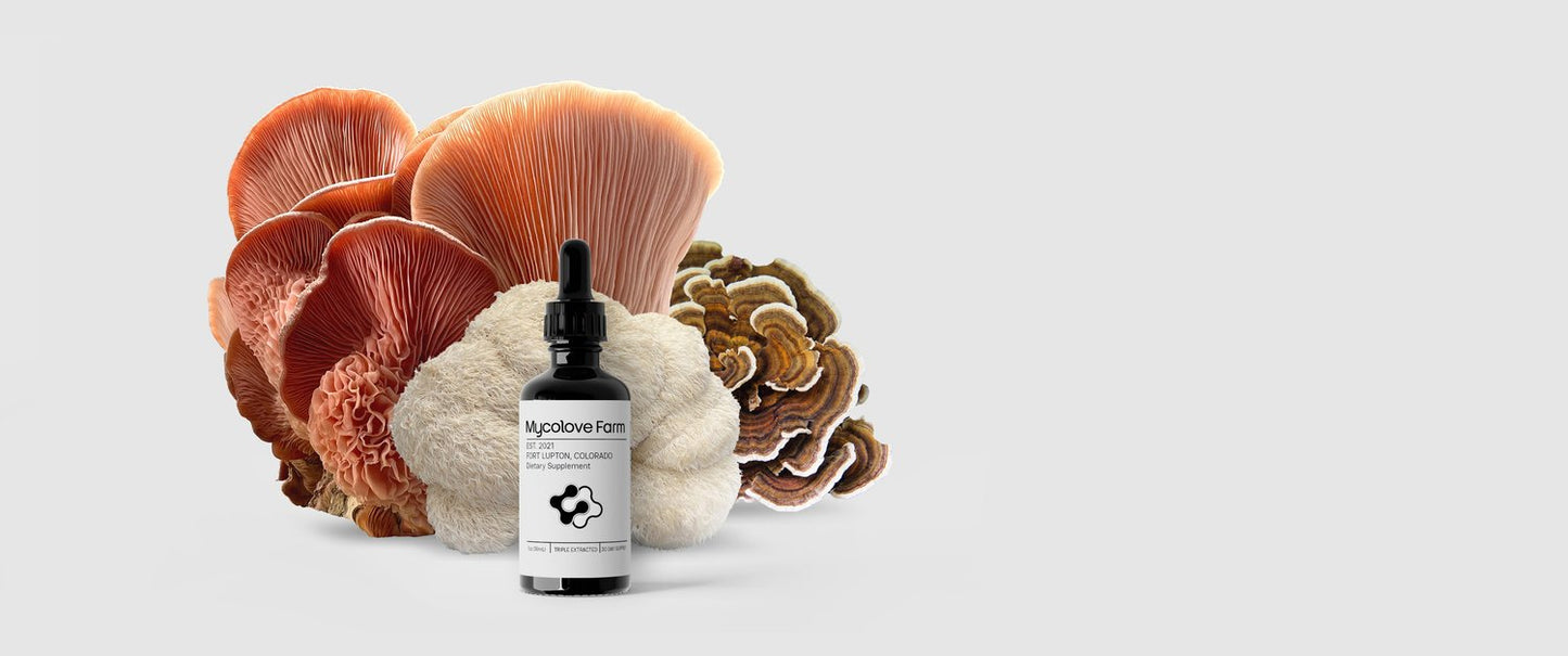 MycoLove Functional Medicine Extraction Workshop — tincture and mushrooms