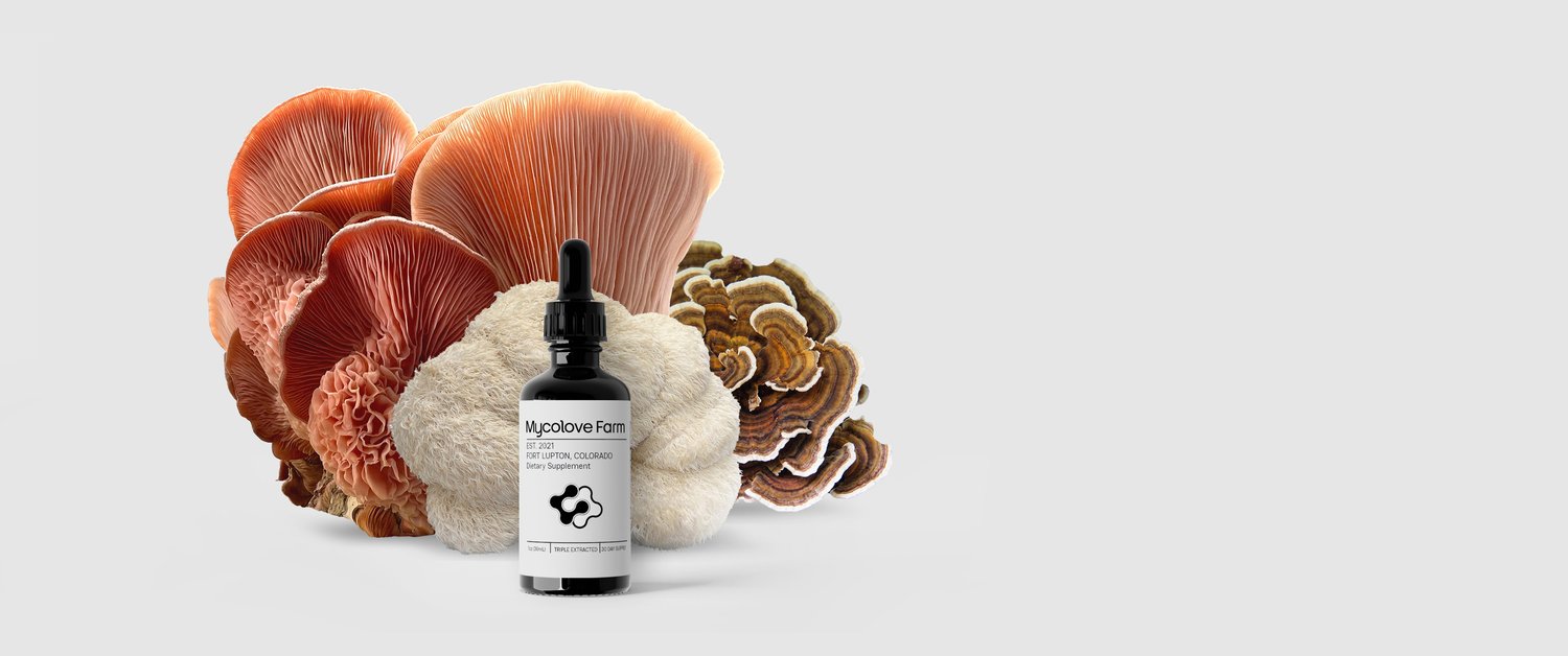 MycoLove Functional Medicine Extraction Workshop — tincture and mushrooms