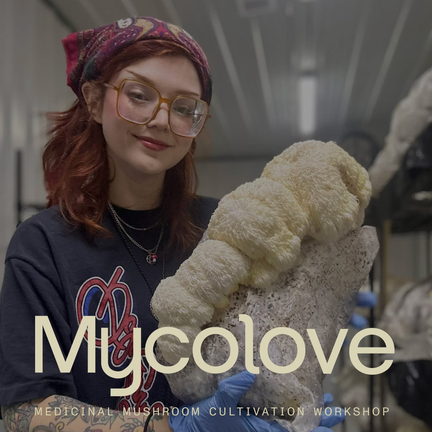 MycoLove Intro to Mushroom Cultivation Workshop -- Longmont Colorado