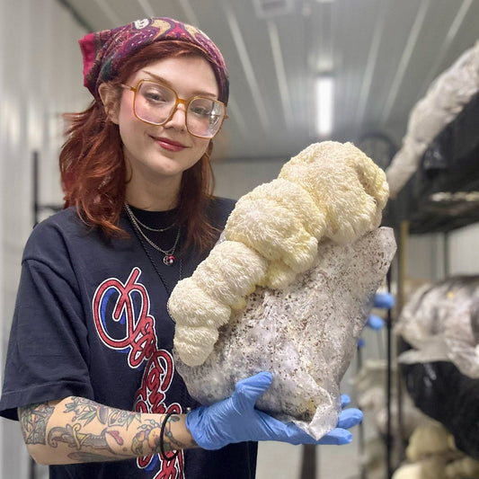 MycoLove Cultivation 101 Workshop — hands-on mushroom grow block